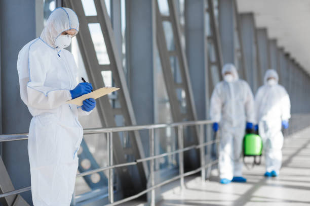 Best Mold Documentation for Insurance Claims  in Durant, IA