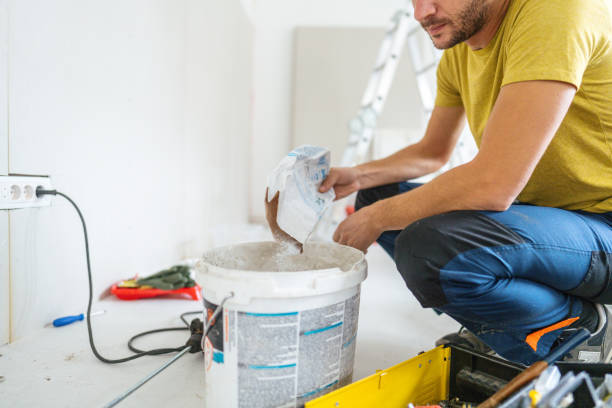 Best Water Damage & Mold Remediation  in Durant, IA