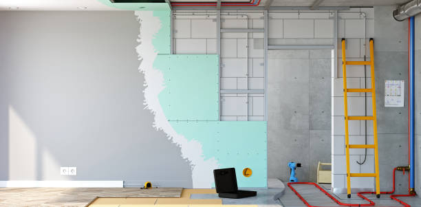 Best Forensic Mold Investigation  in Durant, IA